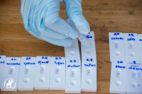 เทศบาลตำบลเวียงตาล ตรวจ ATK (Antigen test kit) พนักงานครั้งที่ ๒