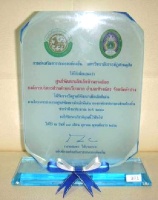 ประจำปี 2551