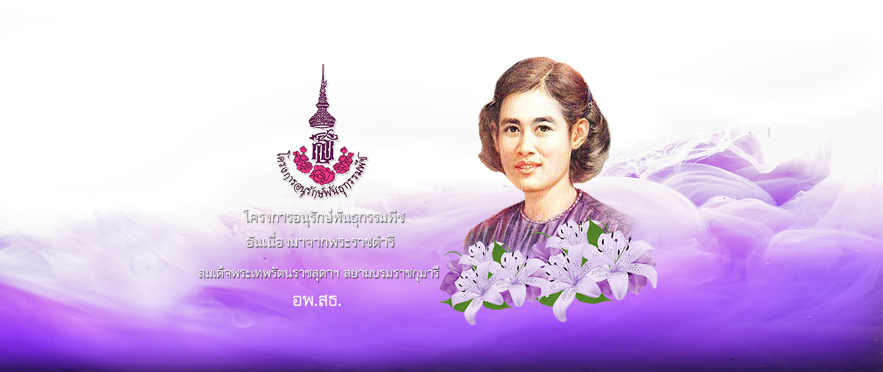 โครงการอนุรักษ์พันธุกรรมพืช อันเนื่องมาจากพระราชดำริ (อพ.สธ.))