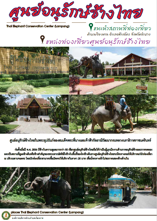 thai elepant